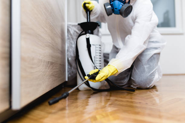 Best Wasp Removal Services  in Watertown, NY