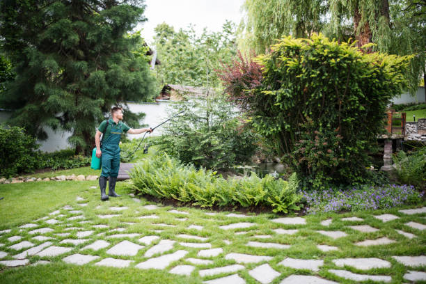 Best Ant Control Services  in Watertown, NY