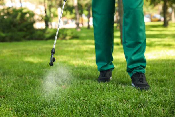 Best Mosquito Control Services  in Watertown, NY