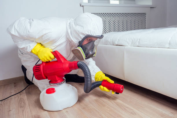Best Local Pest Control Services  in Watertown, NY