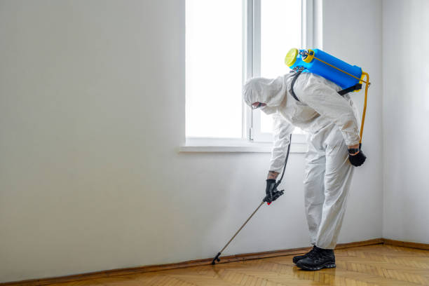 Best Wasp Removal Services  in Watertown, NY