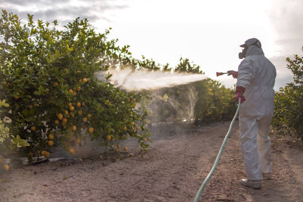 Best Pest Control for Homes  in Watertown, NY