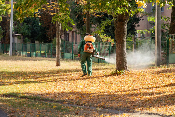 Best Pest Control Near Me  in Watertown, NY